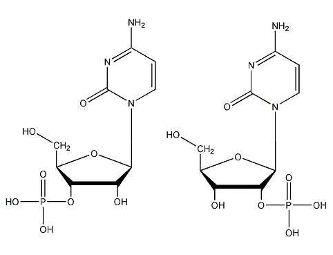 尿苷酸 uridylic acid
