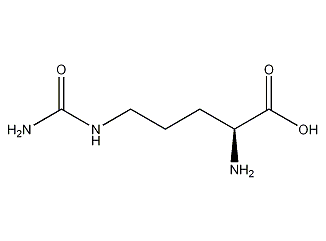 瓜氨酸    citrulline