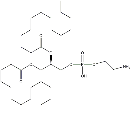 1,2-十四酰基磷脂酰乙醇胺1,2-dimyristoyl